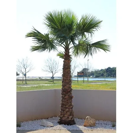 Tereza Comfortable Privlaka (Zadar)